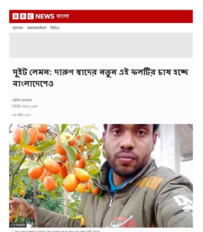 BBC News bangla1