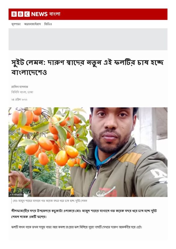 BBC News বাংলা